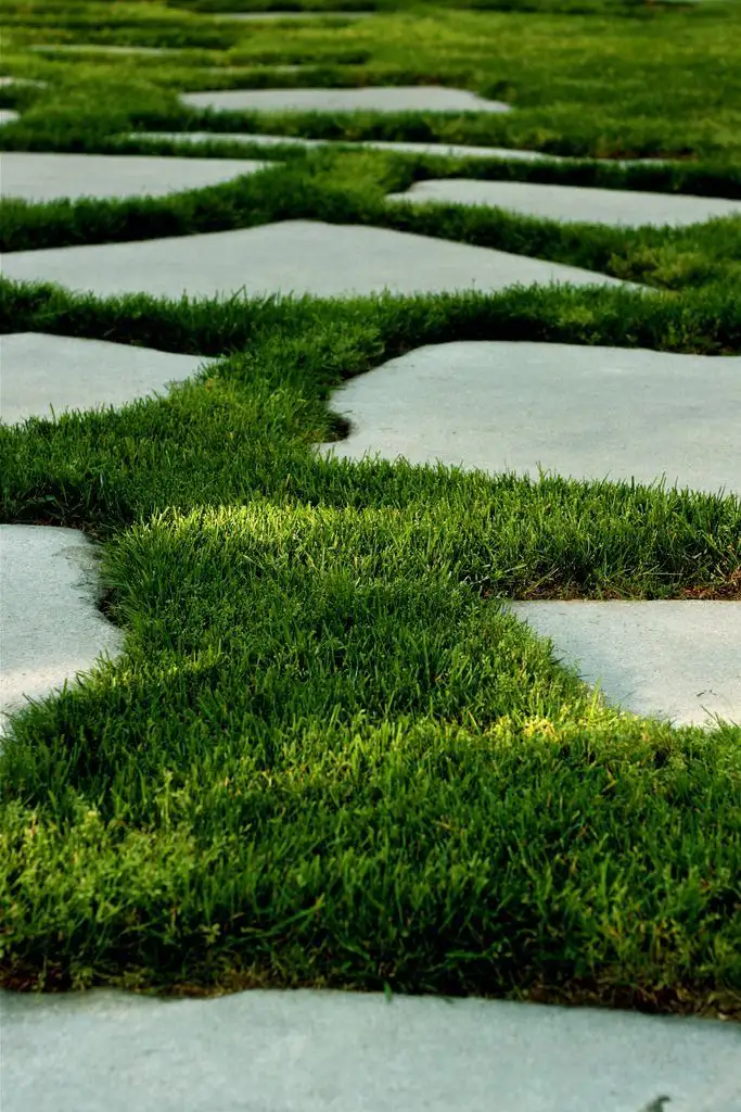 The Garden Path