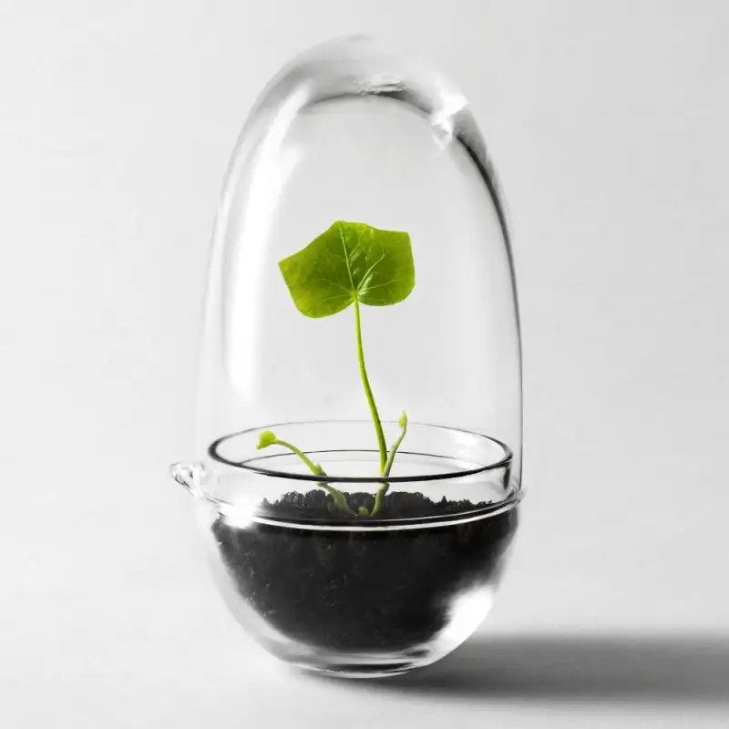 The Greenhouse