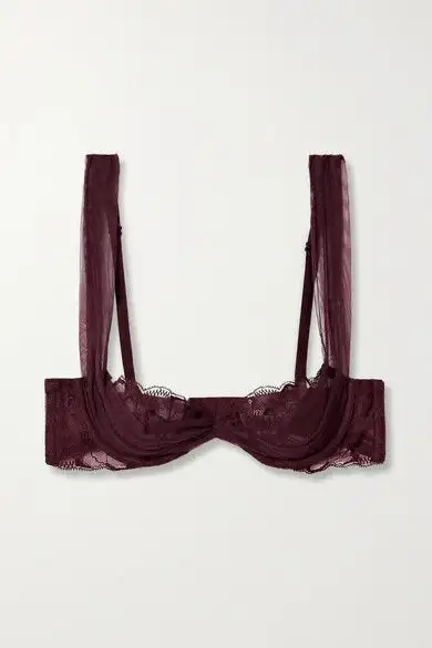 The Lingerie & Underwear