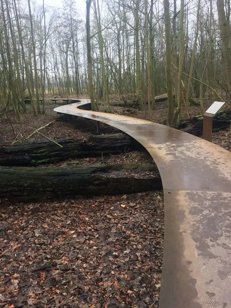 The Pathway
