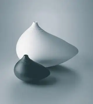 The Vase